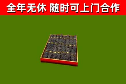 松桃县回收海参